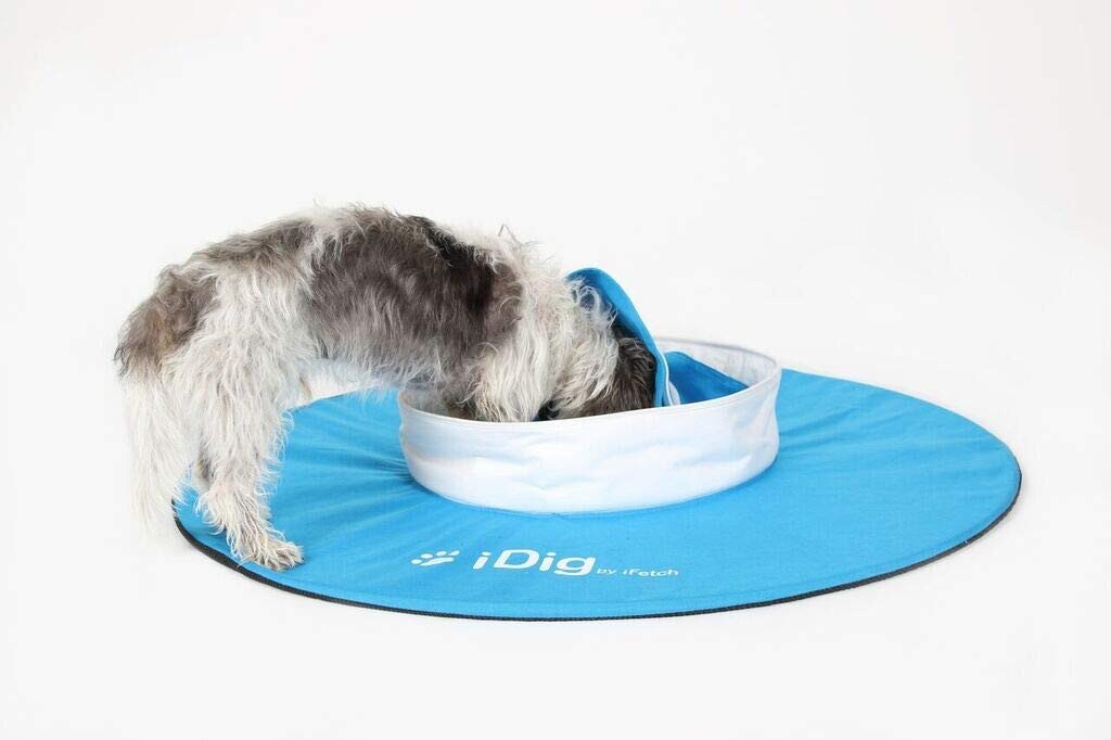 Buy iFetch iDig Digging Toy for Dogs - Stay online Worldwide 
