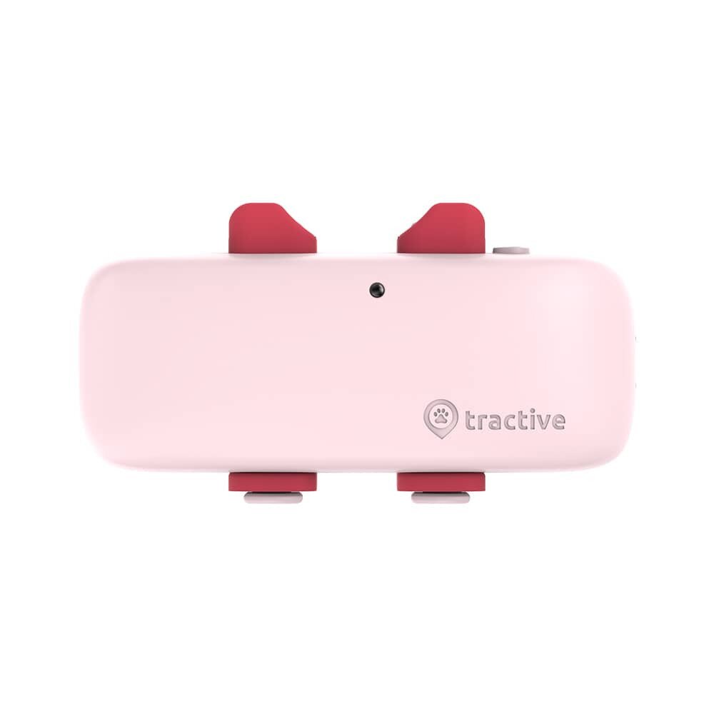 Buy Tractive GPS Tracker for Dogs - Pink online Worldwide 